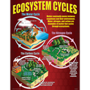 Ecosystems Poster Set (43cm x 55.9cm) 4 Posters