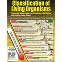 Living Organisms Poster Set (43cm x 55.9cm) 4 Posters