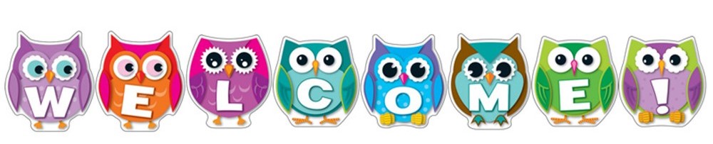 Colorful Owl Welcome! Bulletin Board Set largest 12&quot;x 13.5''(8 pcs)