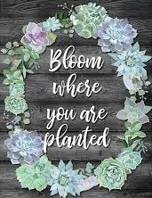 BLOOM WHERE YOU ARE PLANTED CHART 17''x22''(43.1cmx55.8cm)