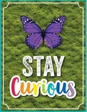 STAY CURIOUS POSTER CHART ( 55cm x 43cm)