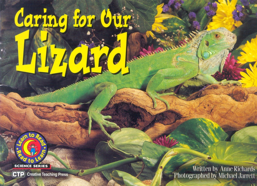 Caring for Our Lizard