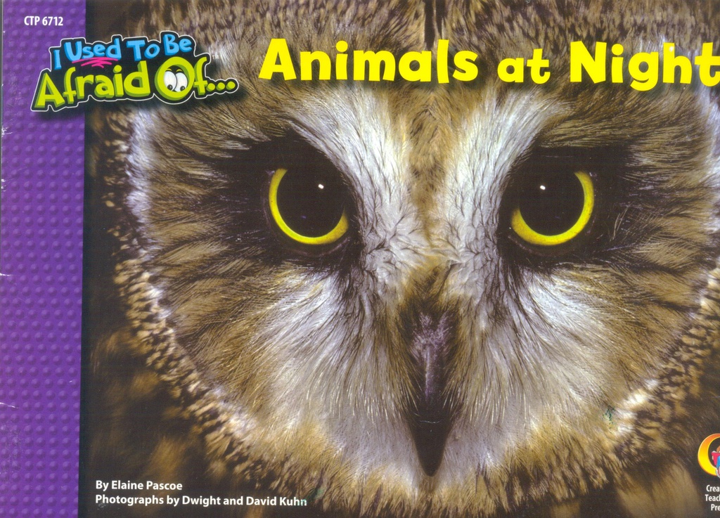 Animals at Night, I Used To Be Afraid Of