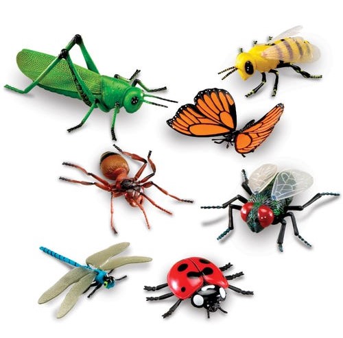 Jumbo Insects (set of 7)