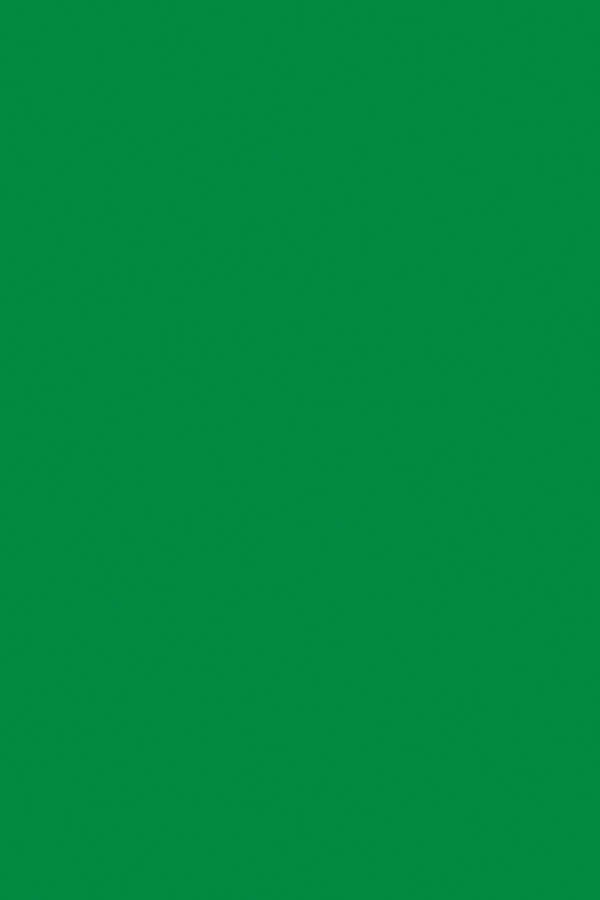 TISSUE SPECTRA BLEEDING (20''X30'')(50.8cmx76.2cm) APPLE GREEN (24CT)