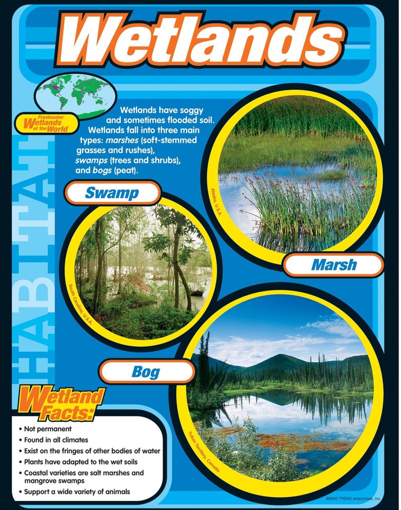 Wetlands Chart (55cmx43cm)