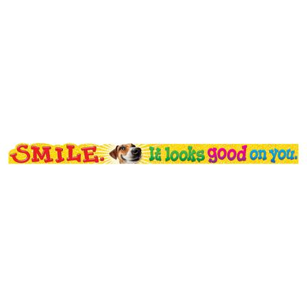 SMILE. It looks good on you. Banner (10'=3m)
