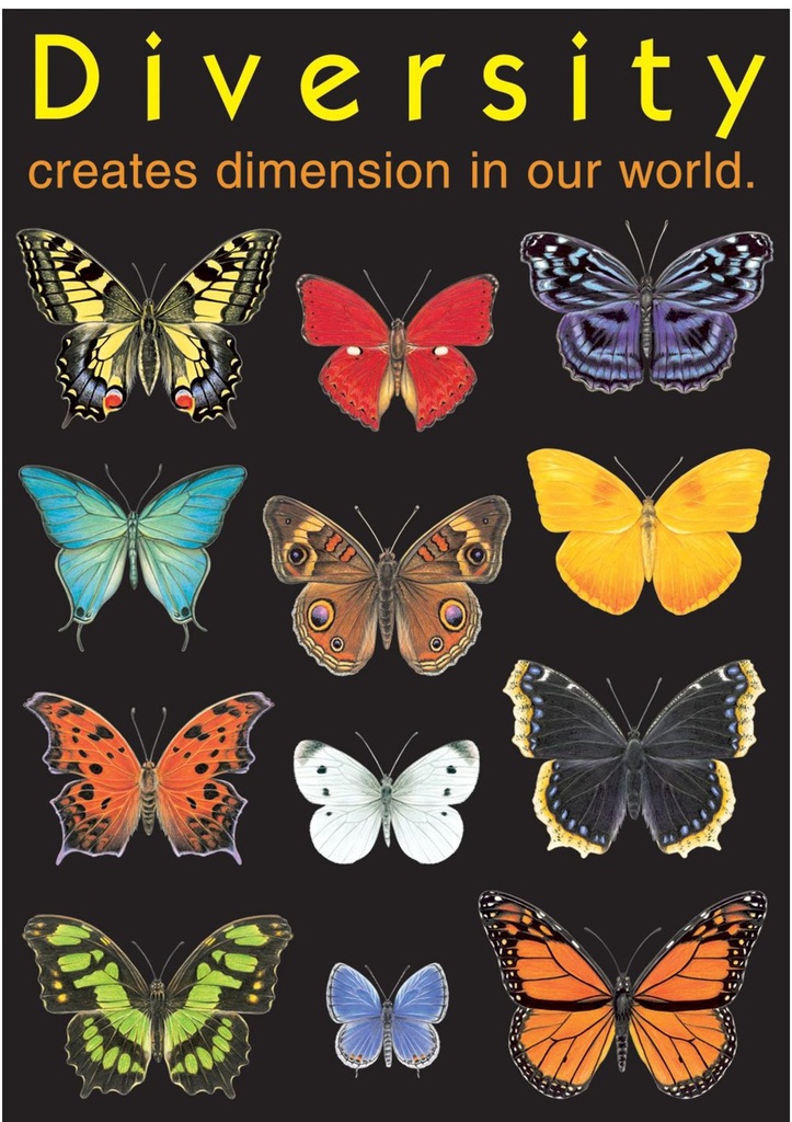 Diversity creates Dimension Poster 13.3''x19''(33.7cmx48.2cm)