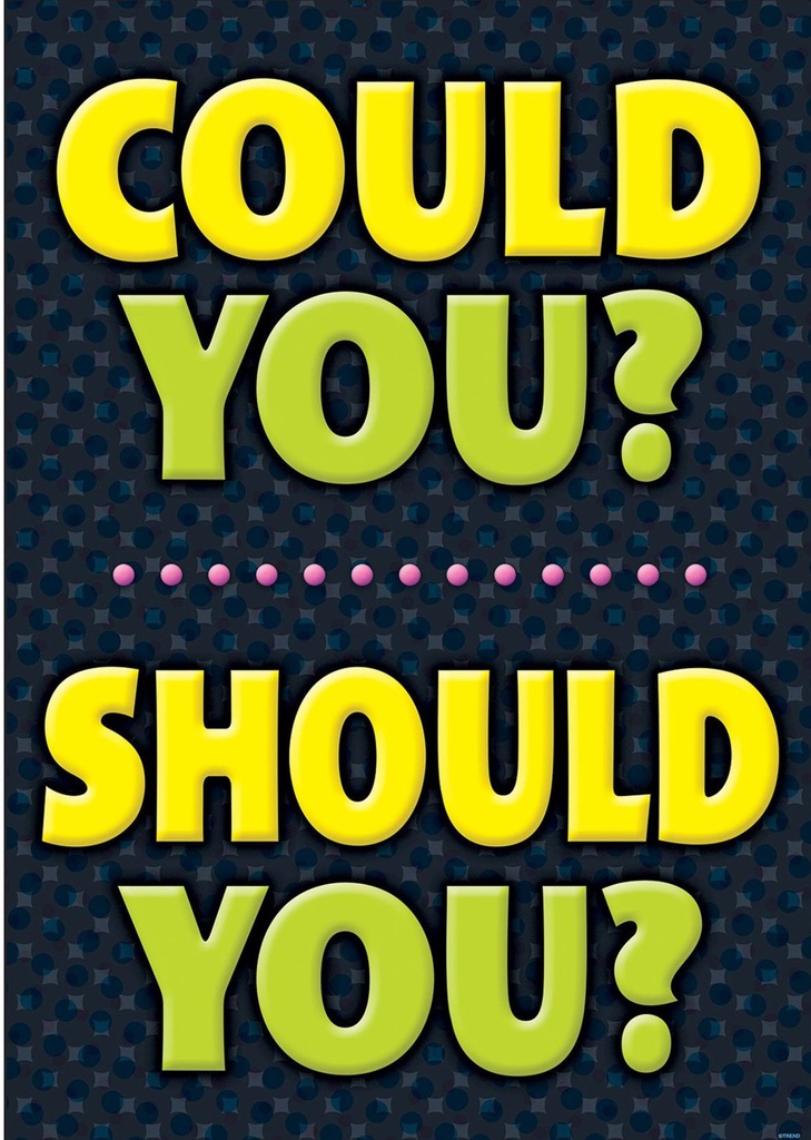 COULD YOU? SHOULD YOU? POSTER 13.3''x19''(33.7cmx48.2cm)