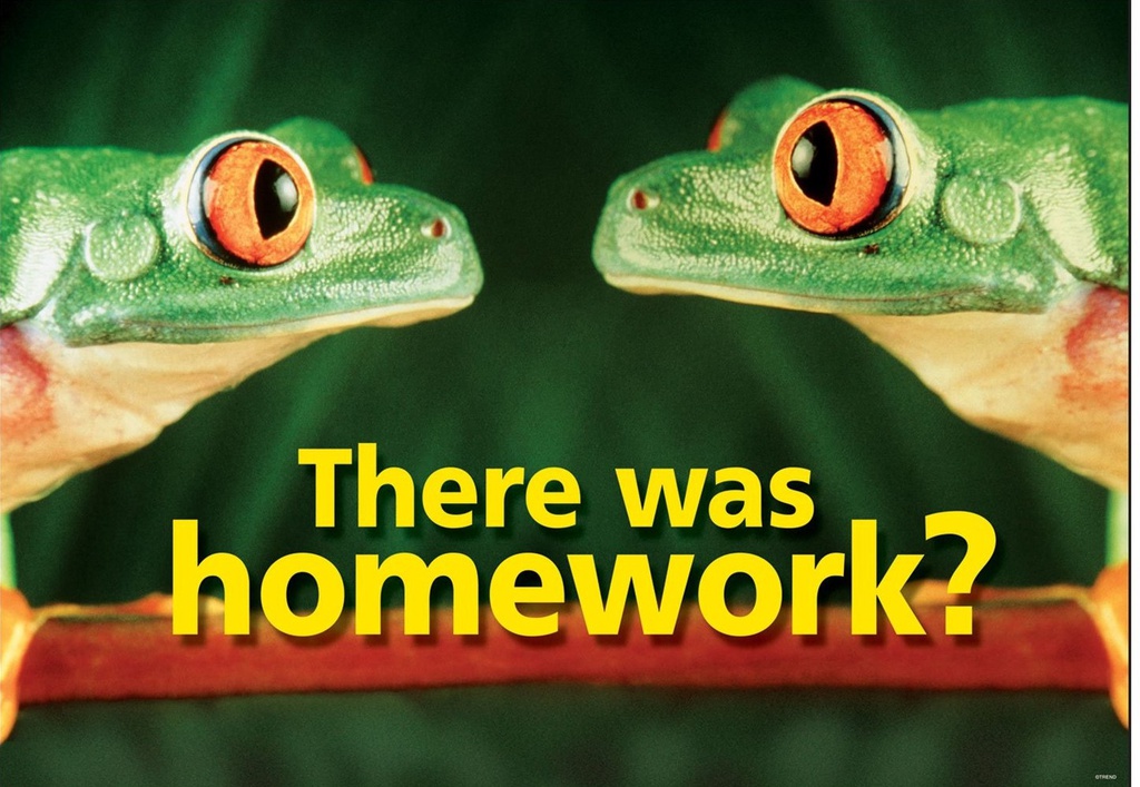 There was homework? Poster 13.3''x19''(33.7cmx48.2cm)