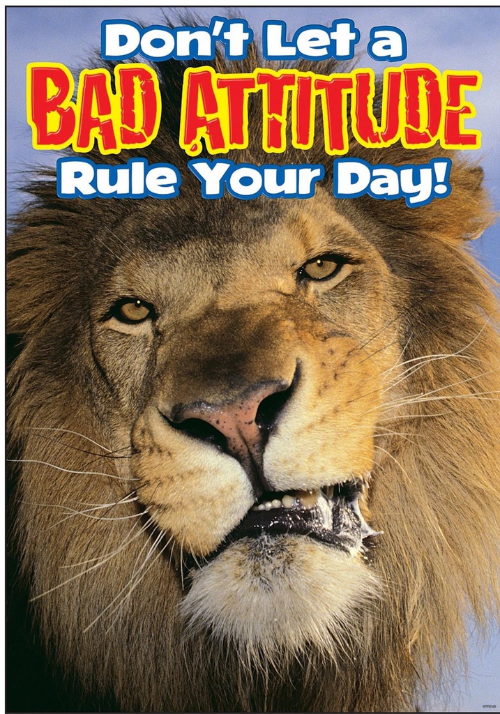 Don't let a bad attitude…Poster 13.3''x19''(33.7cmx48.2cm)