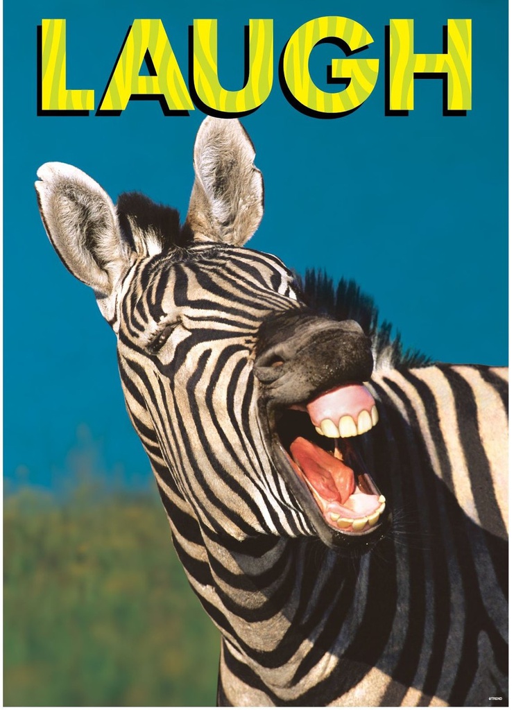 Laugh Poster 13.3''x19''(33.7cmx48.2cm)