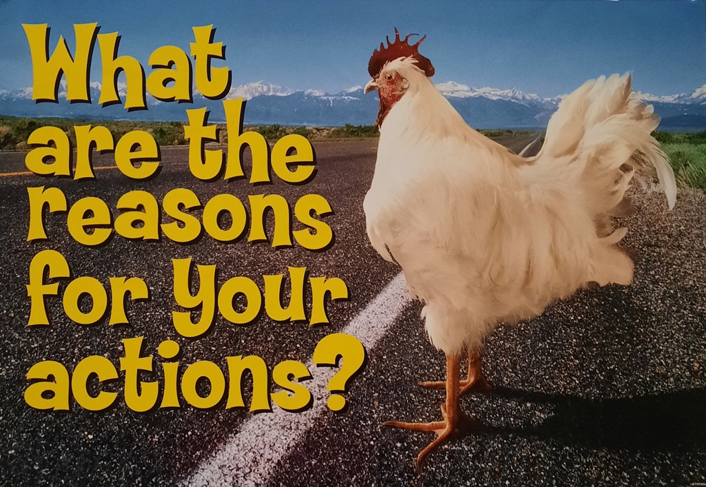 What are the reasons for Your Actions?. Poster (48cmx 33.5cm)