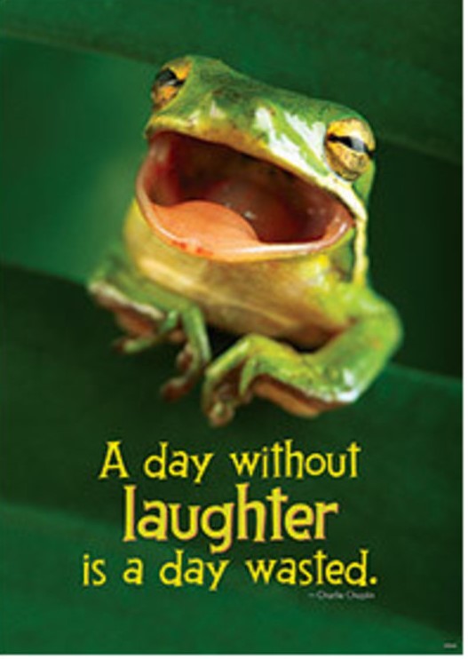 A day without laughter is a day wasted.Poster (48cm x 33.5cm)