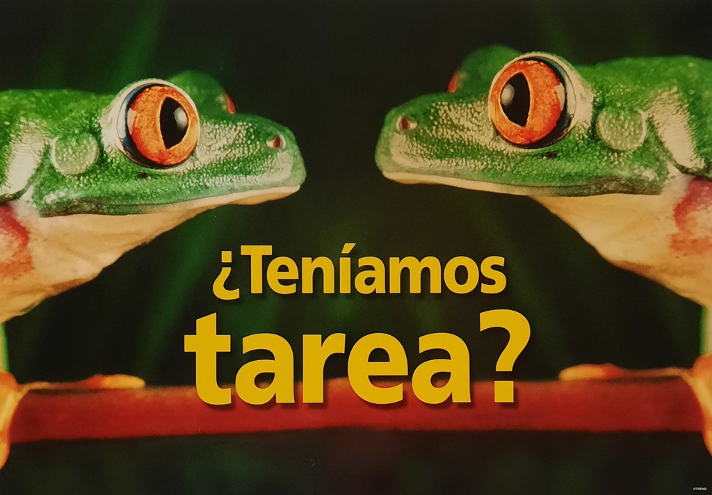 Tenamos Tarea? (There was homework?)Poster (48cm x 33.5cm)