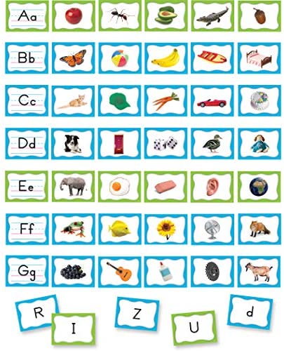 Alphabet Pocket Chart Cards Write - on/ Wipe - off (210 cards)