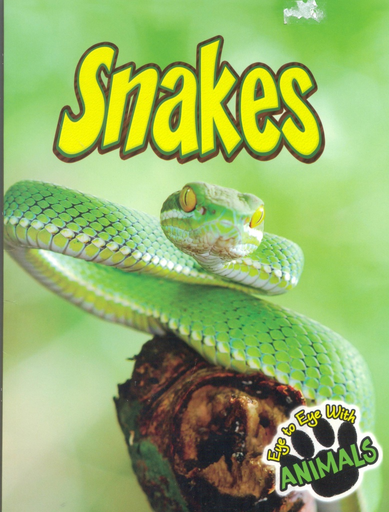 Eye to Eye with Animals: Snakes
