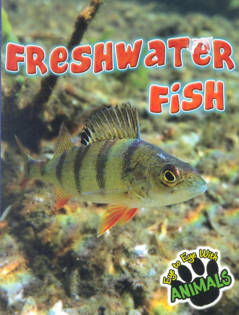 Eye to Eye with Animals: Freshwater Fish