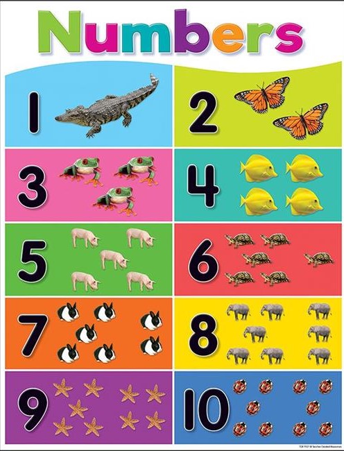 COLORFUL NUMBERS 1-10 CHART 17''x22''(43cmx55cm)