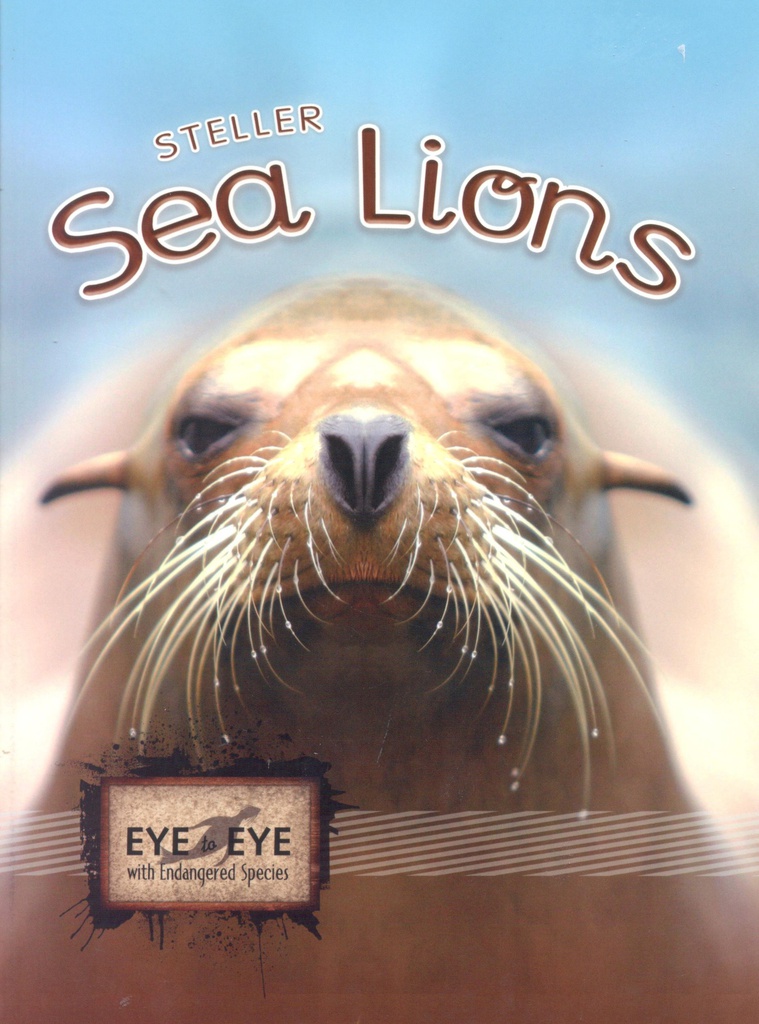 Eye to Eye with Endangered Species: Stellar Sea Lions