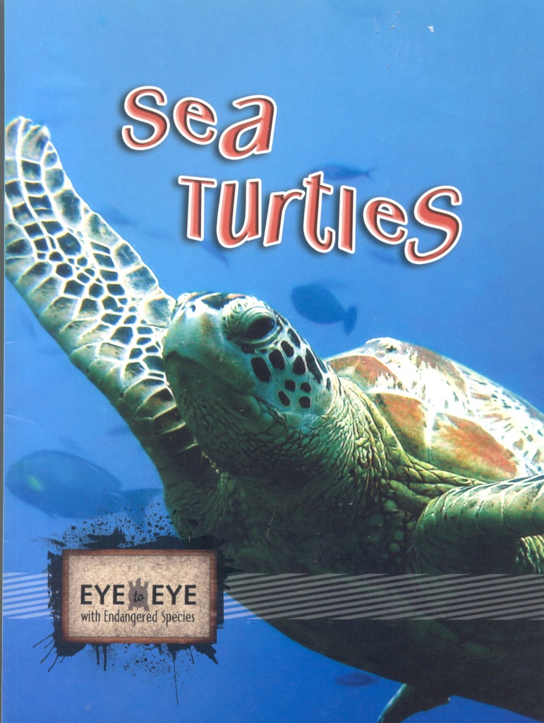 Eye to Eye with Endangered Species: Sea Turtles