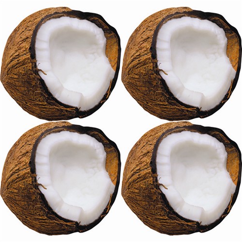 Monkey Mischief™ Coconuts Mini Accent 3''(7.5cm)(36 pcs)