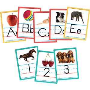 Alphabet and Numbers Accents (36cards)
