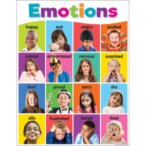 Colorful Emotions Chart 17&quot; x 22&quot; (43cm x 56 cm)
