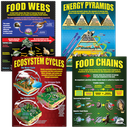 Ecosystems Poster Set (43cm x 55.9cm) 4 Posters