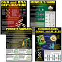 DNA &amp; Heredity Poster Set (43cm x 55.9cm) 4 Posters