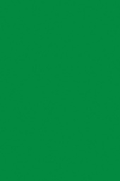 [PX0059122] TISSUE SPECTRA BLEEDING (20''X30'')(50.8cmx76.2cm) APPLE GREEN (24CT)