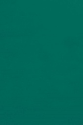 [PX0059137] TISSUE SPECTRA BLEEDING (12''X18'')(30.4cmx45.7cm) EMERALD (50CT)