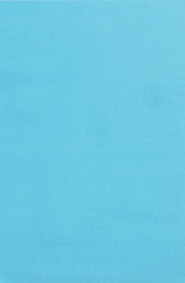 [PX0059392] TISSUE SPECTRA BLEEDING (20''X30'')(50.8cmx76.2cm) SKY BLUE (24CT)