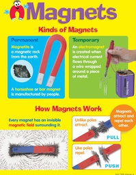 [TX38055] Magnets Kinds of Magnet Chart (55cmx 43cm)
