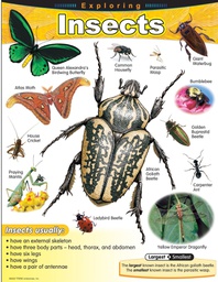 [TX38184] Exploring Insects Chart (55cmx 43cm)