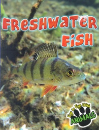 [TCR419799] Eye to Eye with Animals: Freshwater Fish