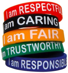 [TCR6569] Character Traits Wristbands