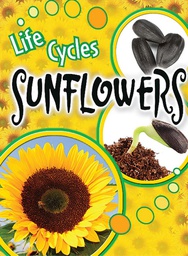 [TCR905461] Life Cycles: Sunflowers