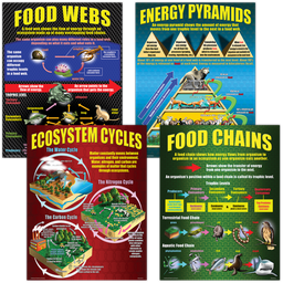 [MCP059] Ecosystems Poster Set (43cm x 55.9cm) 4 Posters