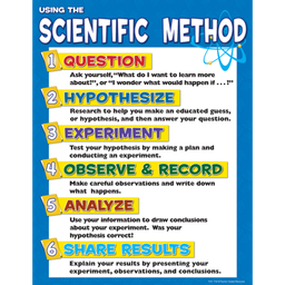 [TCR7704] Scientific Method  Chart (43cm x 56cm)