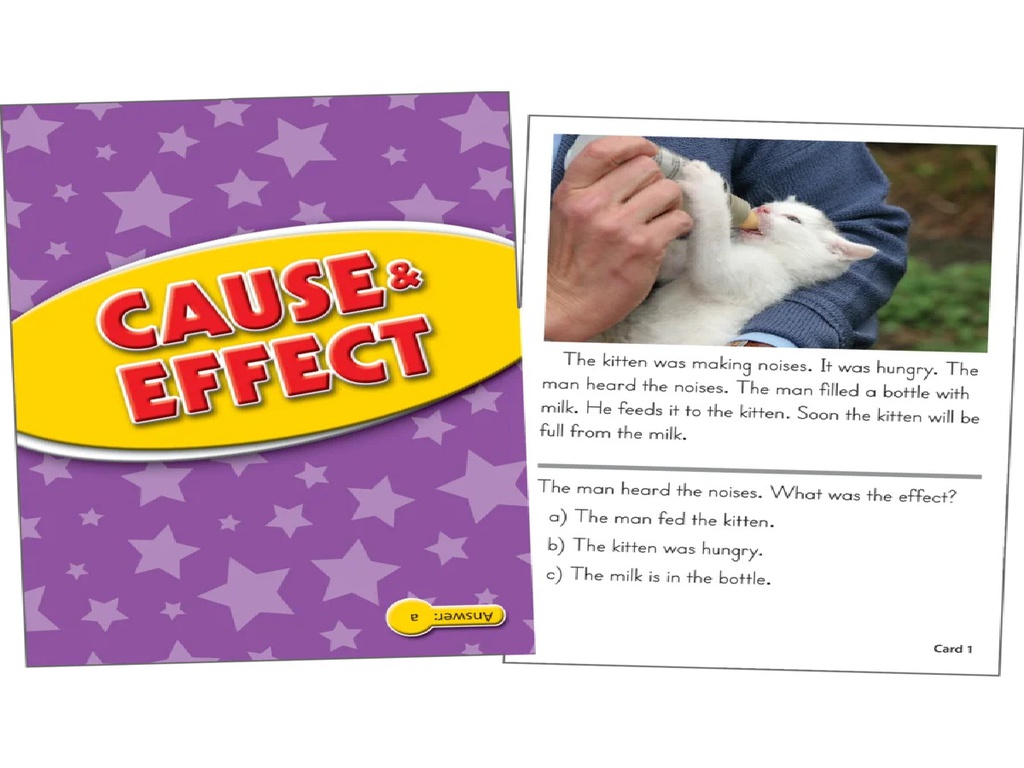 Reading Comprehension Practice Cards: Cause &amp; Effect (Yellow Level) (40cards)(18cmx13cm)