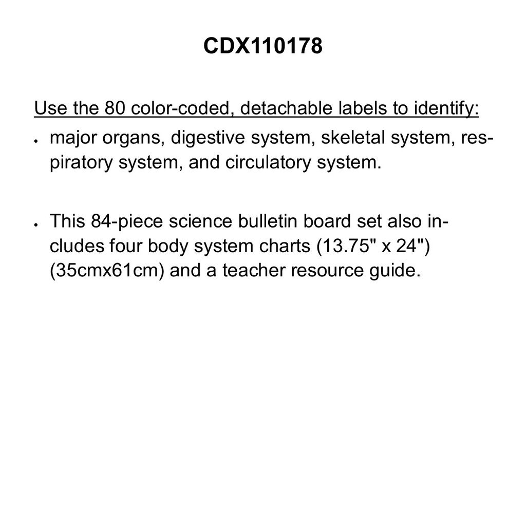 Human Body Bulletin Board Set  (84pcs)