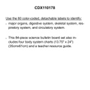 Human Body Bulletin Board Set  (84pcs)