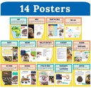NONFICTION TEXT FEATURES MINI POSTERS  (14pcs)(8.5''x11'')(21.5cmx28cm)