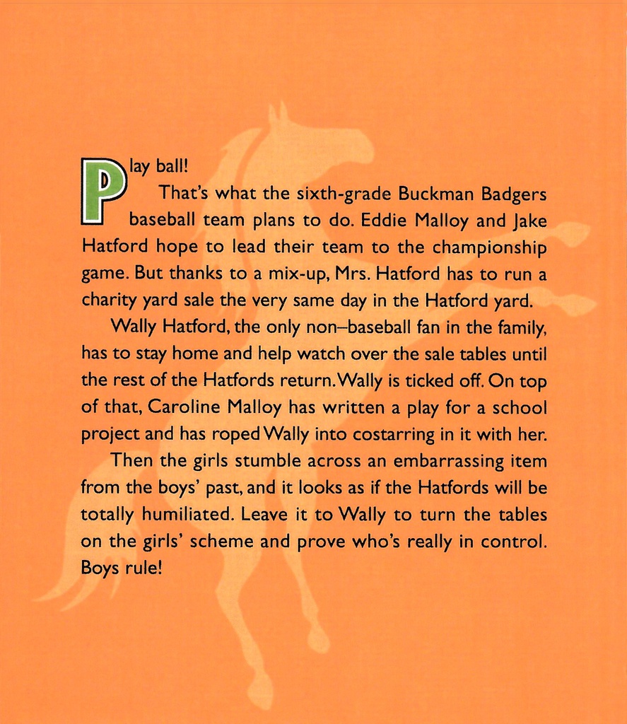 Boys in Control (Boy/Girl Battle #9) (8-12 yrs)