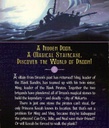 SECRETS OF DROON #29: PIRATES OF THE PURPLE DAWN (7-10yrs)