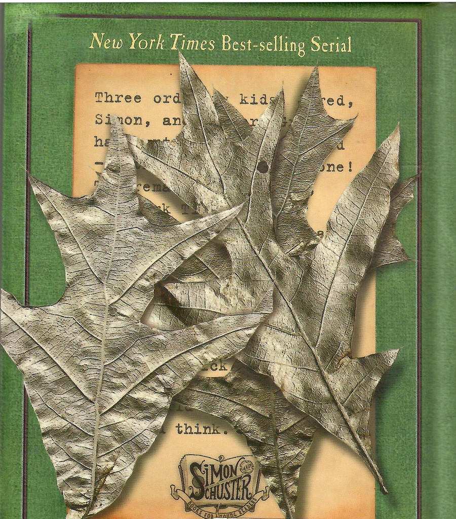 The Ironwood Tree (The Spiderwick Chronicles, Book 4) (7-11yrs) HARDCOVER