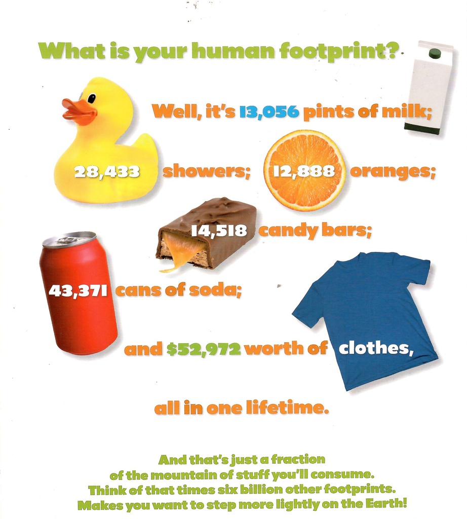 HUMAN FOOTPRINT (8-12yrs)