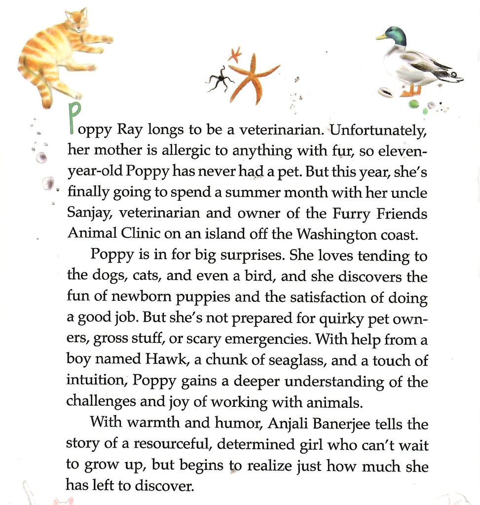 SEAGLASS SUMMER (8-12yrs)