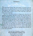 LILU'S BOOK (Fairy Godmother Academy #04) (8-12yrs)